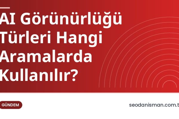 AI Görünürlüğü Türleri Hangi Aramalarda Kullanılır?