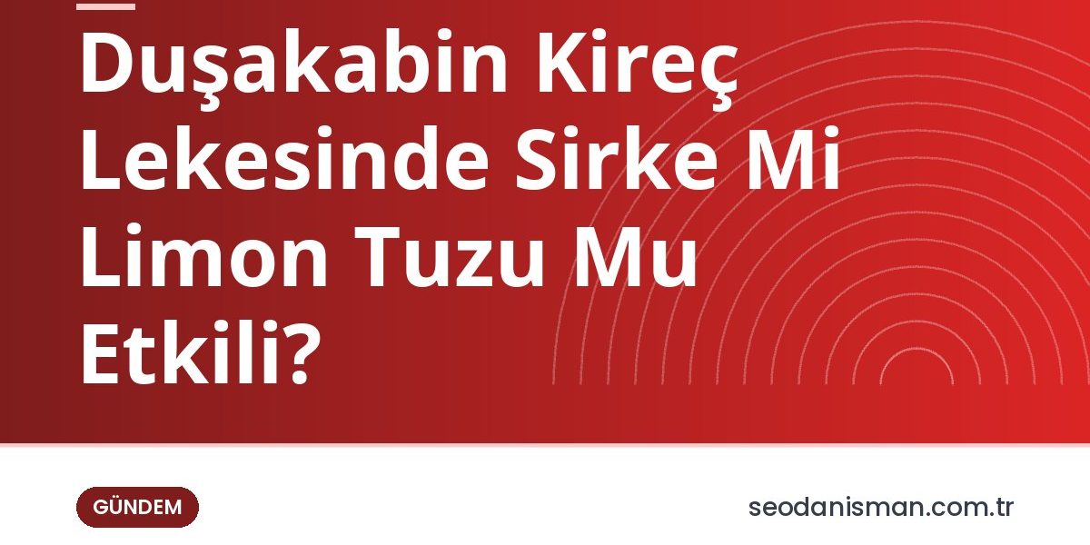 Duşakabin Kireç Lekesinde Sirke Mi Limon Tuzu Mu Etkili?