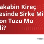 Duşakabin Kireç Lekesinde Sirke Mi Limon Tuzu Mu Etkili?