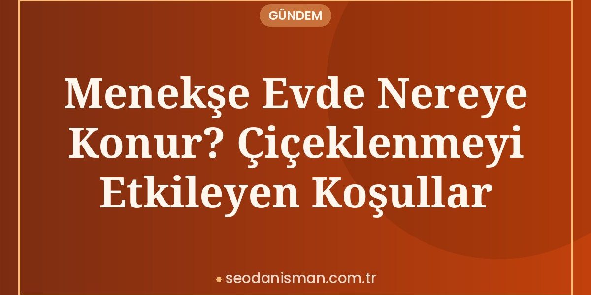 Menekşe Evde Nereye Konur? Çiçeklenmeyi Etkileyen Koşullar