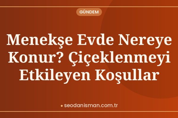 Menekşe Evde Nereye Konur? Çiçeklenmeyi Etkileyen Koşullar