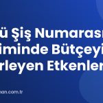 Örgü Şiş Numarası Seçiminde Bütçeyi Belirleyen Etkenler